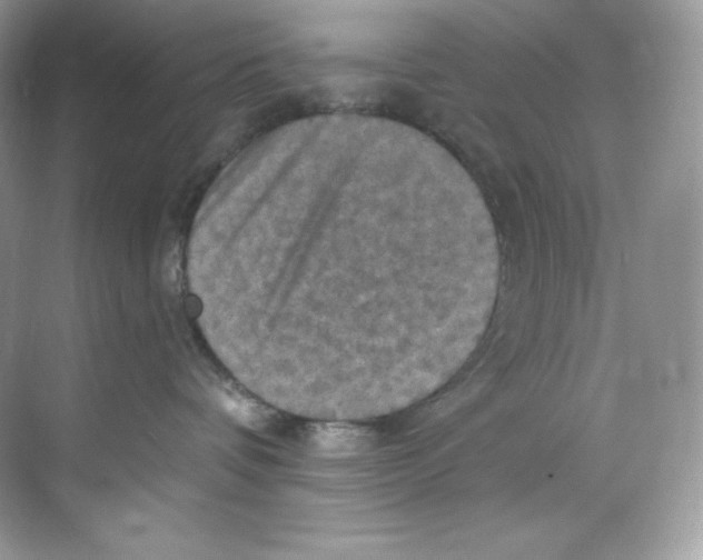 X0000068740336200605192351