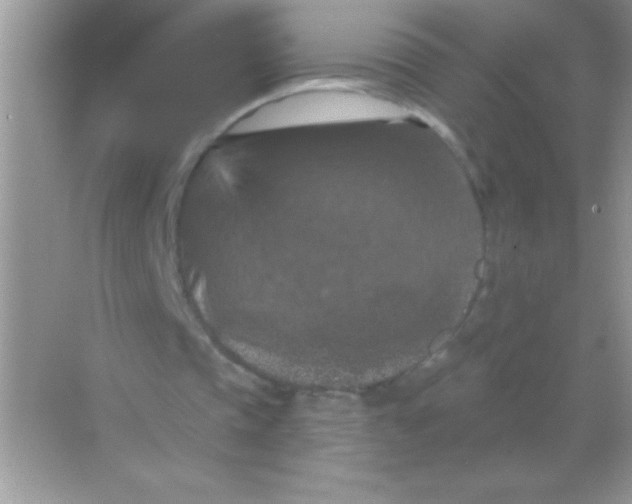 X0000068740337200605192350