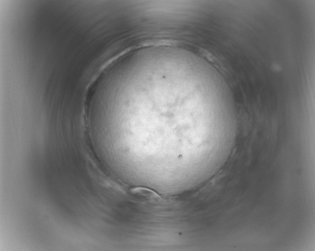 X0000068740338200605192350