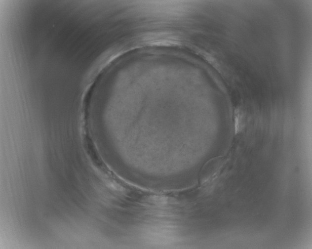 X0000068740339200605192350