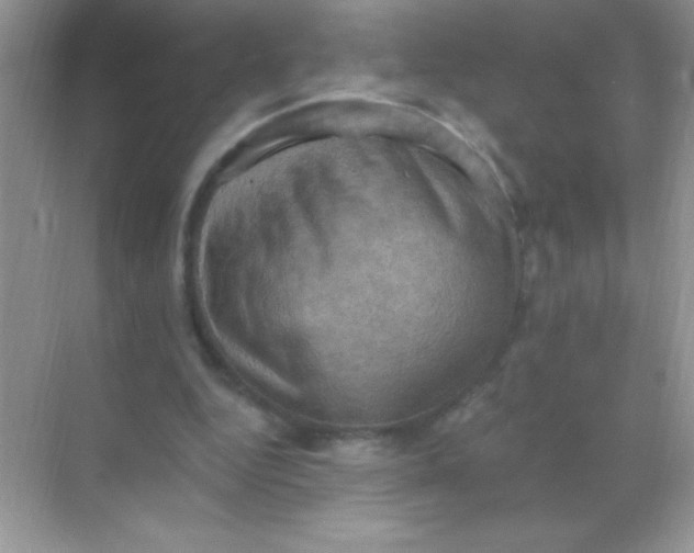 X0000068740344200605192351