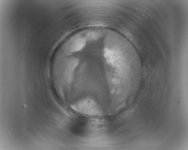 X0000068740347200605192351