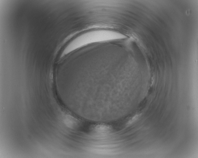 X0000068740348200605192351