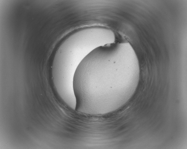 X0000068740350200605192351