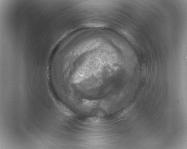 X0000068740351200605192351