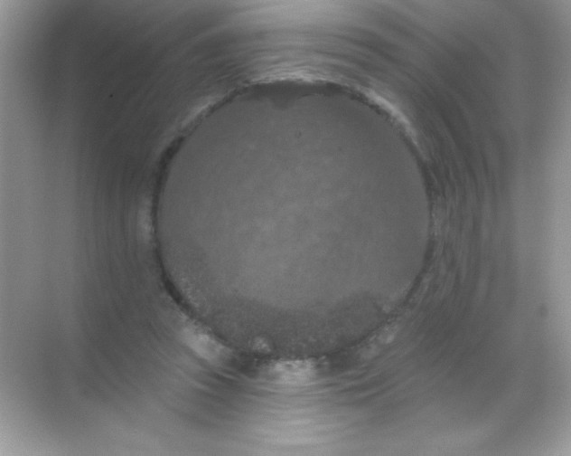 X0000068740353200605192351