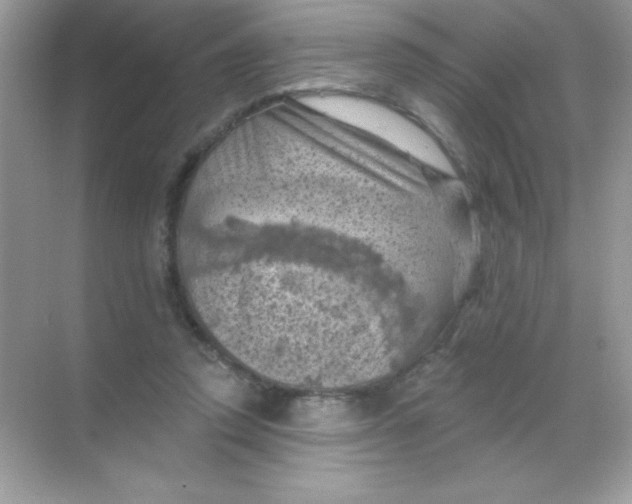 X0000068740354200605192351