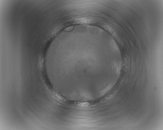 X0000068740355200605192351