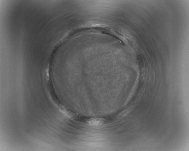 X0000068740358200605192351