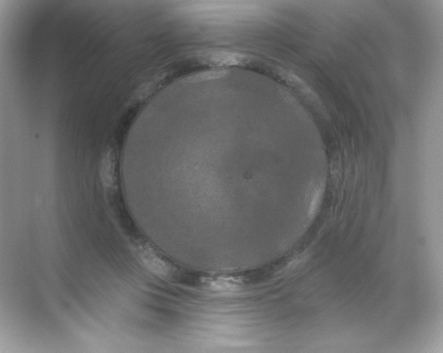 X0000068740359200605192351