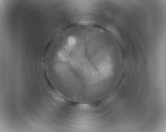 X0000068740361200605192351