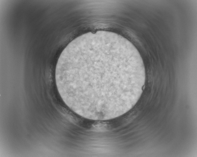 X0000068740362200605192351