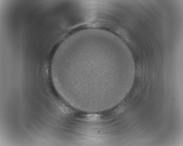 X0000068740363200605192351