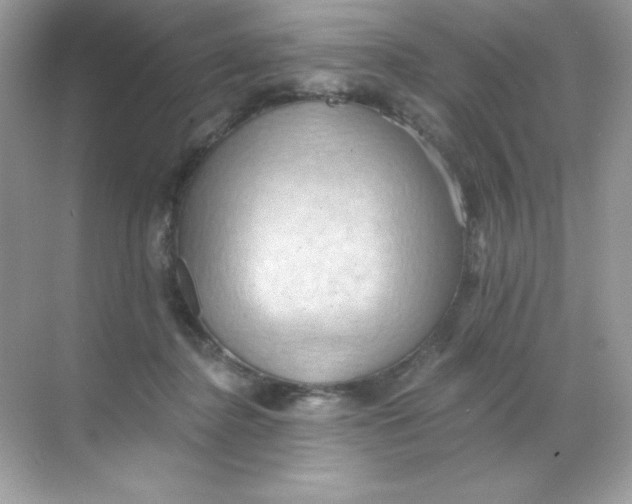 X0000068740364200605192351