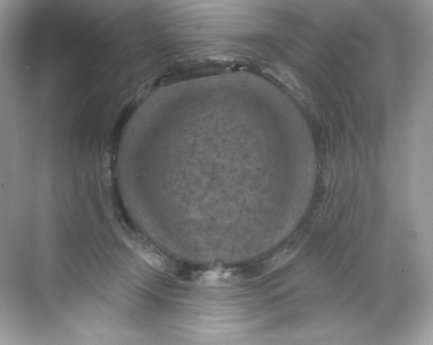 X0000068740366200605192351