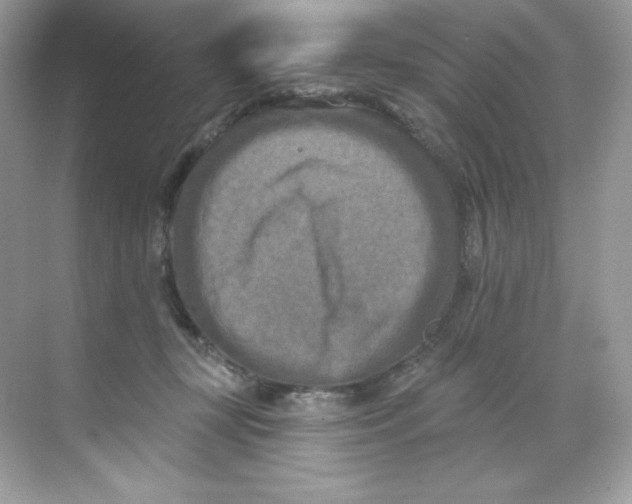 X0000068740367200605192351