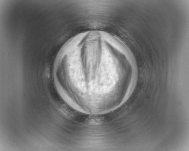 X0000068740368200605192351