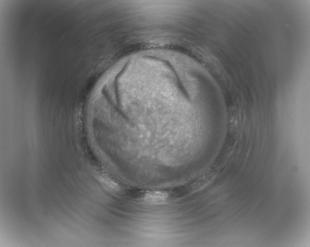 X0000068740369200605192351