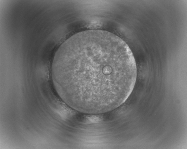 X0000068740370200605192351