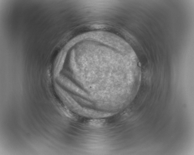 X0000068740373200605192351