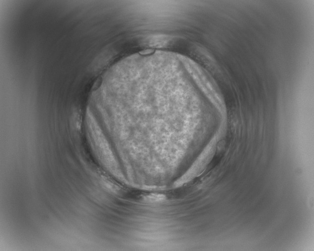 X0000068740374200605192351