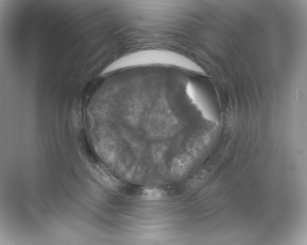 X0000068740376200605192351