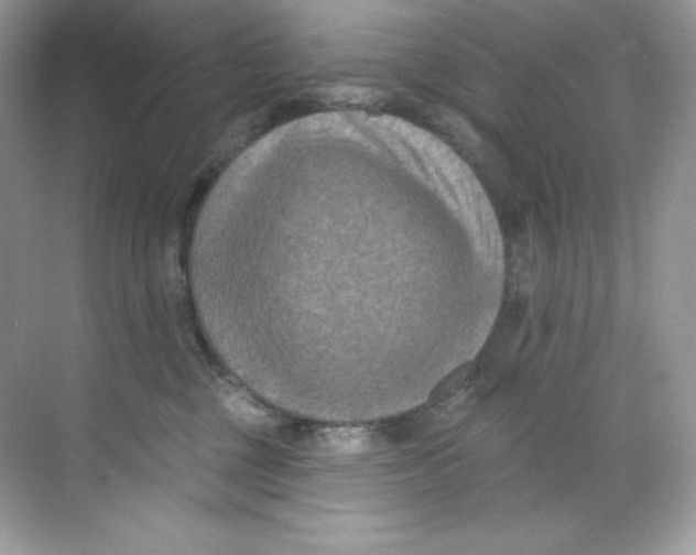 X0000068740377200605192351