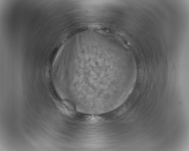 X0000068740379200605192351