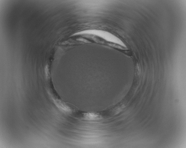 X0000068740380200605192351