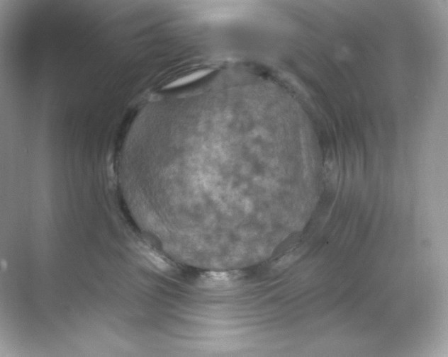 X0000068740381200605192351