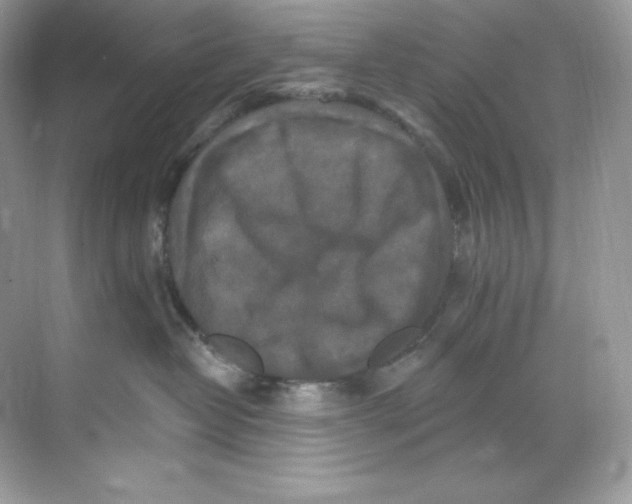 X0000068740382200605192351