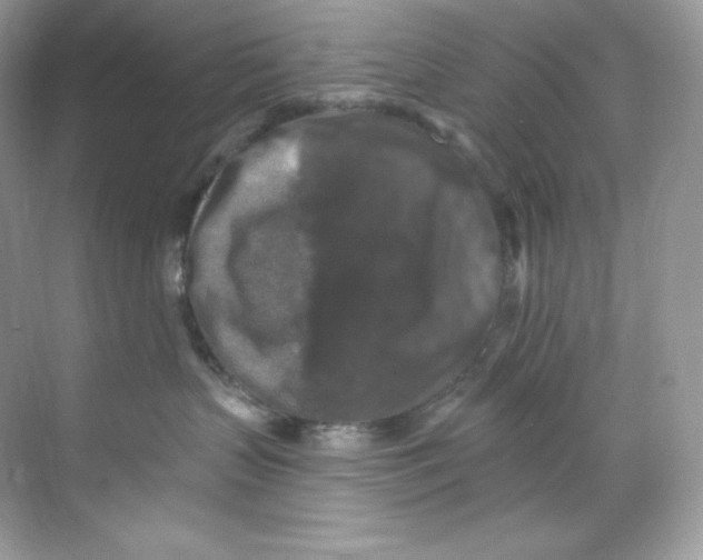 X0000068740383200605192351