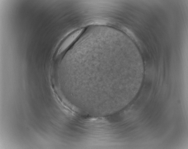 X0000068740386200605192350