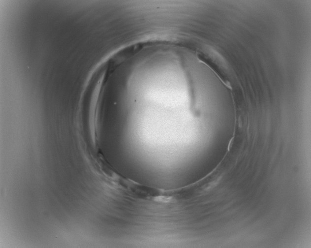 X0000068740388200605192350