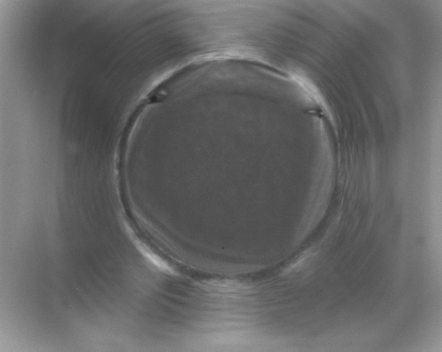 X0000068740389200605192350