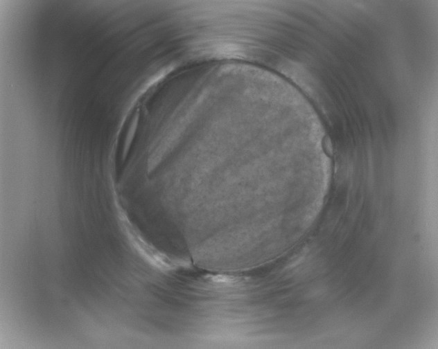 X0000068740390200605192350