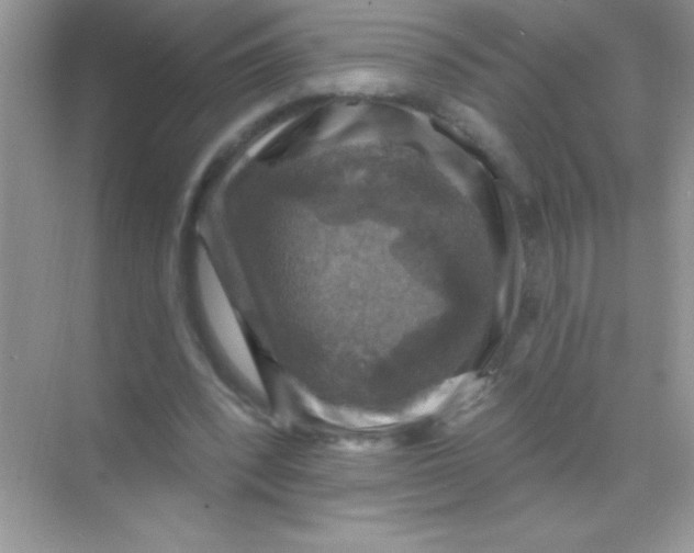 X0000068740392200605192350