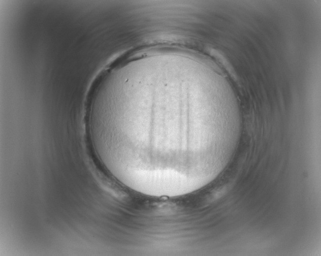 X0000068740395200605192350