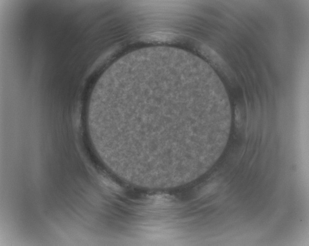 X0000068740396200605192350