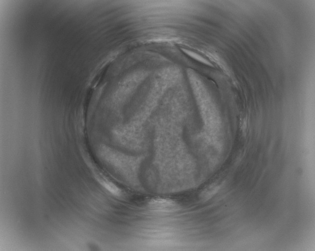 X0000068740397200605192350