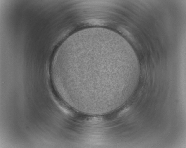 X0000068740398200605192350