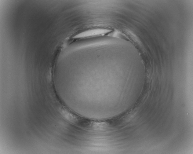 X0000068740401200605192350