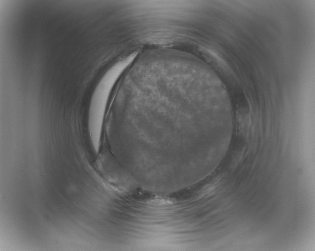 X0000068740404200605192350