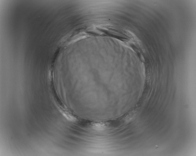 X0000068740405200605192350