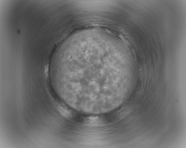 X0000068740406200605192350