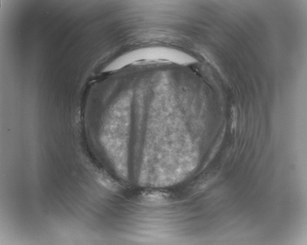 X0000068740407200605192350