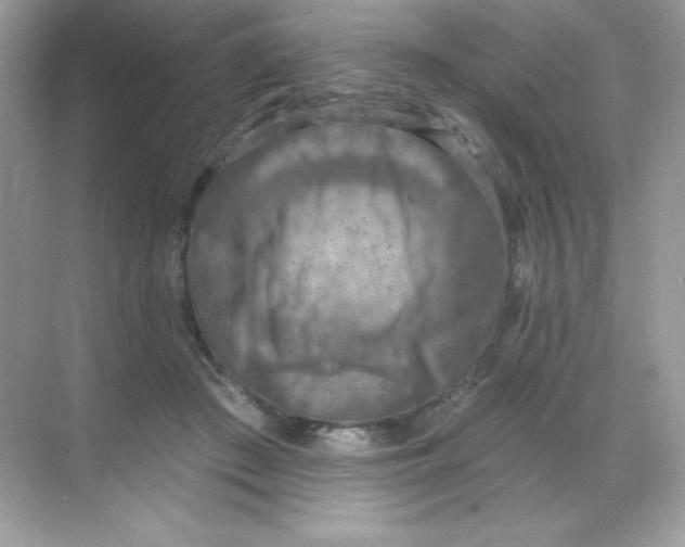 X0000068740409200605192350