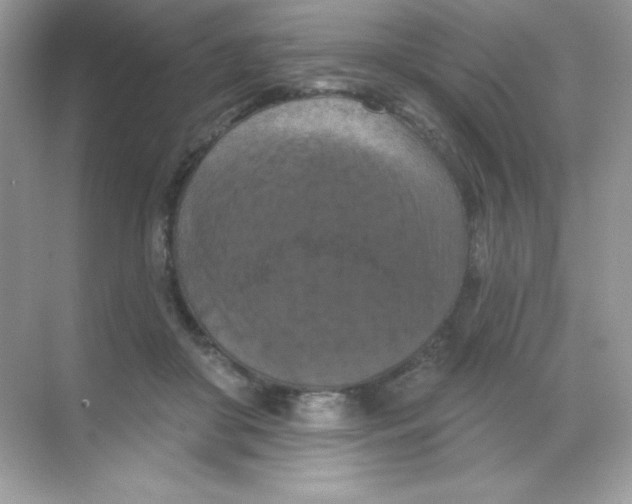 X0000068740410200605192350