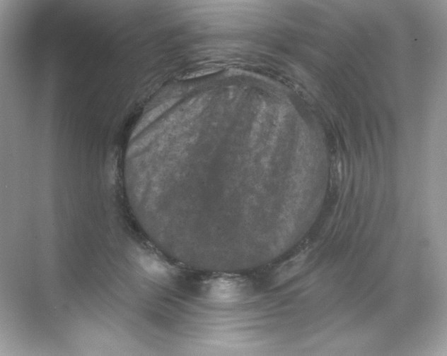 X0000068740412200605192350