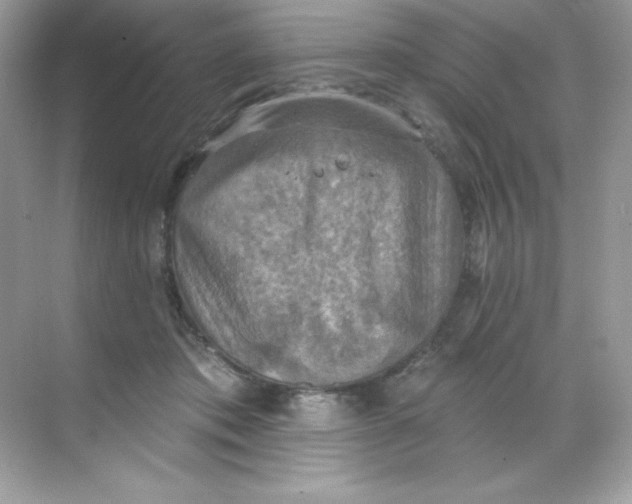 X0000068740413200605192350